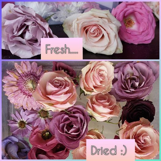 15cm Freestanding Heart - Flower Preservation | Starshine Memorials