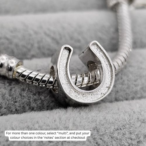 Equuleus Charm - 925 Silver Memorial Earrings w/ Inclusions