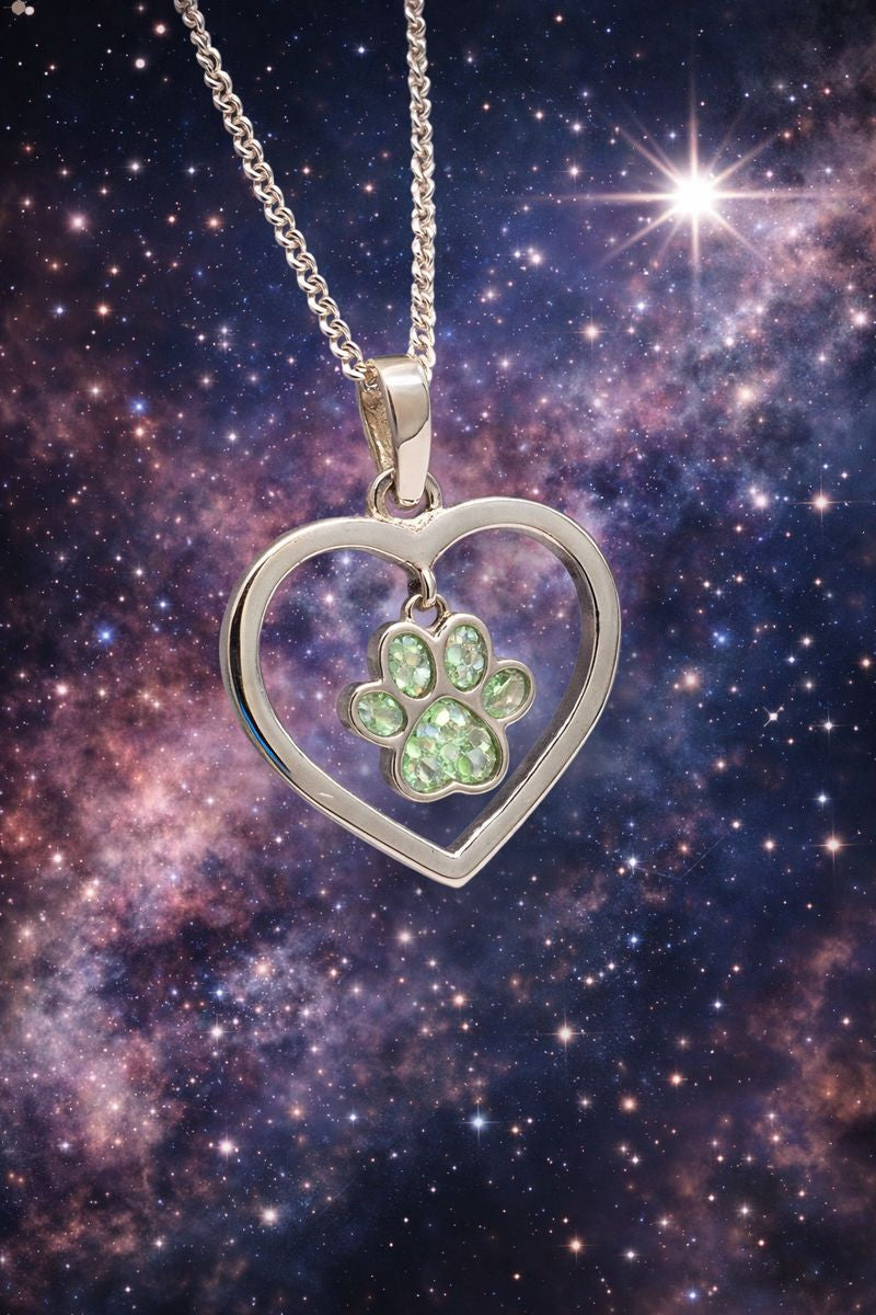 Noctis Pawprint Pet Memorial Pendant - 925 Silver Memorial Necklace w/ Inclusions
