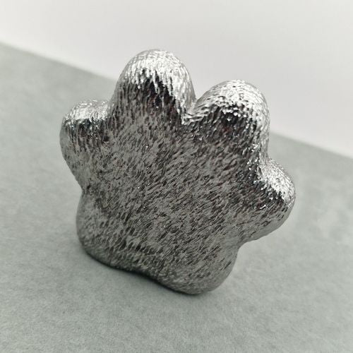 Stainless Steel Paw Print Memorial Ornament